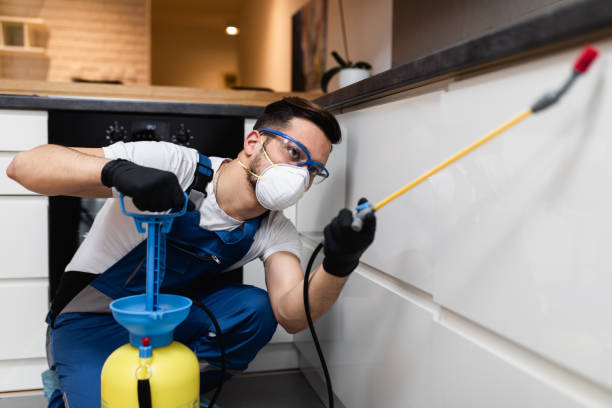 Best Pest Prevention Services  in New Whiteland, IN