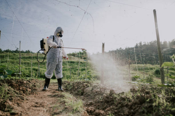 Best Pest Removal Services  in New Whiteland, IN