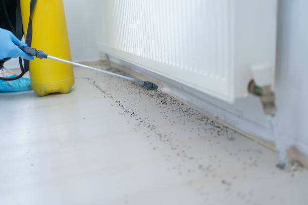 Best Mosquito Control Services  in New Whiteland, IN