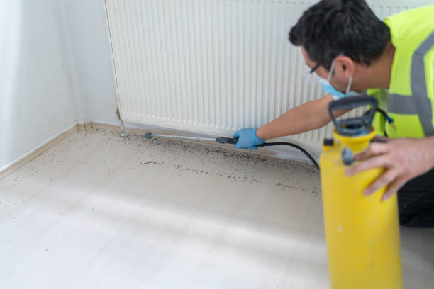 Best Local Pest Control Services  in New Whiteland, IN